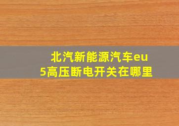 北汽新能源汽车eu5高压断电开关在哪里