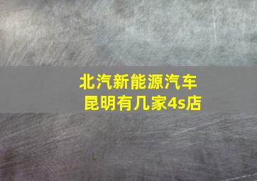 北汽新能源汽车昆明有几家4s店