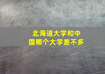 北海道大学和中国哪个大学差不多