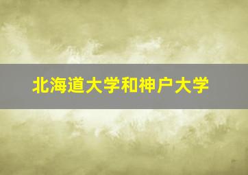 北海道大学和神户大学