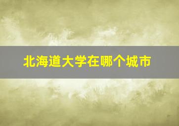 北海道大学在哪个城市