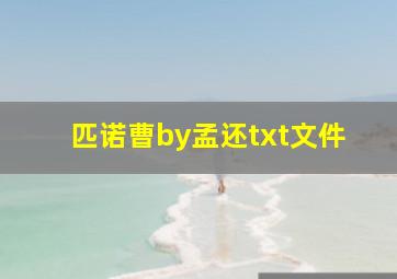 匹诺曹by孟还txt文件