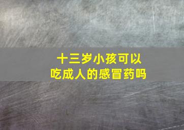 十三岁小孩可以吃成人的感冒药吗