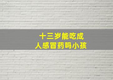 十三岁能吃成人感冒药吗小孩