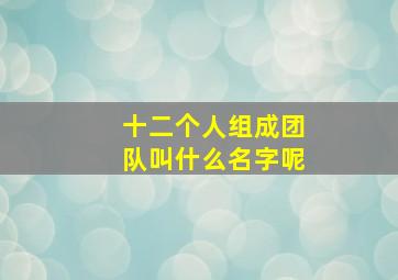 十二个人组成团队叫什么名字呢