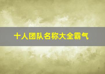 十人团队名称大全霸气