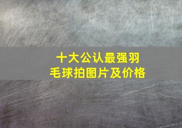 十大公认最强羽毛球拍图片及价格