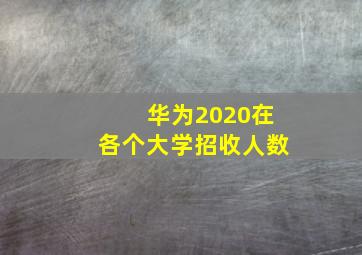 华为2020在各个大学招收人数