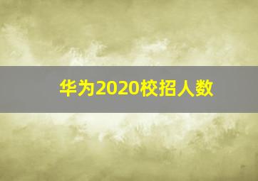 华为2020校招人数