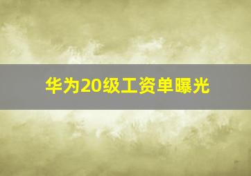 华为20级工资单曝光