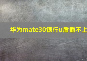 华为mate30银行u盾插不上