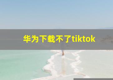 华为下载不了tiktok