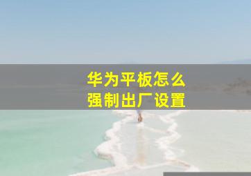 华为平板怎么强制出厂设置