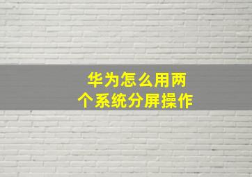 华为怎么用两个系统分屏操作