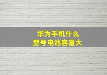 华为手机什么型号电池容量大