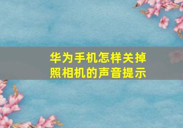 华为手机怎样关掉照相机的声音提示