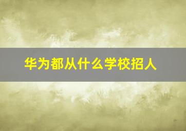 华为都从什么学校招人