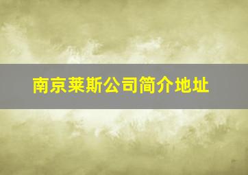 南京莱斯公司简介地址