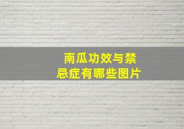 南瓜功效与禁忌症有哪些图片