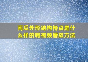 南瓜外形结构特点是什么样的呢视频播放方法