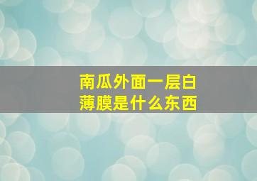 南瓜外面一层白薄膜是什么东西