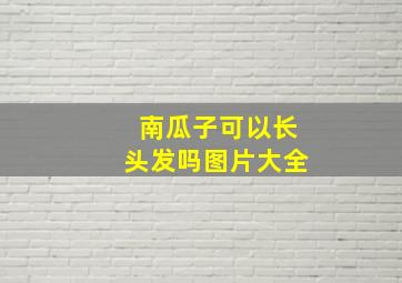 南瓜子可以长头发吗图片大全