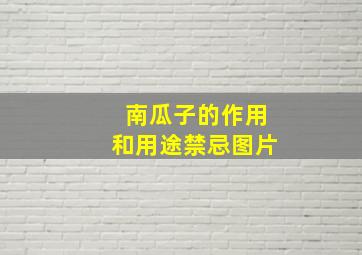 南瓜子的作用和用途禁忌图片