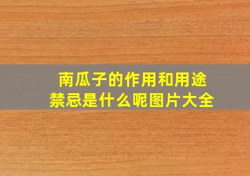 南瓜子的作用和用途禁忌是什么呢图片大全