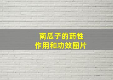 南瓜子的药性作用和功效图片