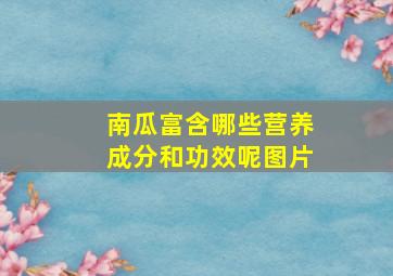 南瓜富含哪些营养成分和功效呢图片