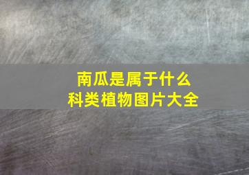 南瓜是属于什么科类植物图片大全