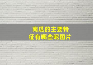 南瓜的主要特征有哪些呢图片