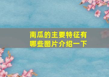 南瓜的主要特征有哪些图片介绍一下