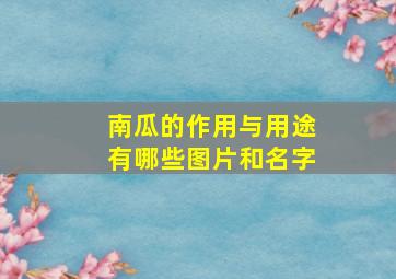 南瓜的作用与用途有哪些图片和名字