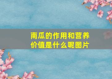 南瓜的作用和营养价值是什么呢图片