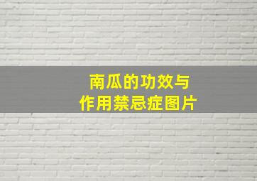 南瓜的功效与作用禁忌症图片