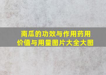 南瓜的功效与作用药用价值与用量图片大全大图