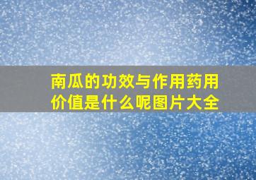 南瓜的功效与作用药用价值是什么呢图片大全