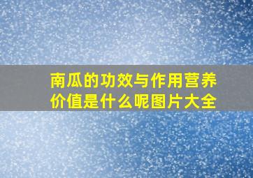 南瓜的功效与作用营养价值是什么呢图片大全