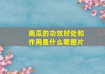 南瓜的功效好处和作用是什么呢图片