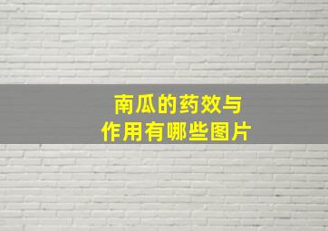 南瓜的药效与作用有哪些图片