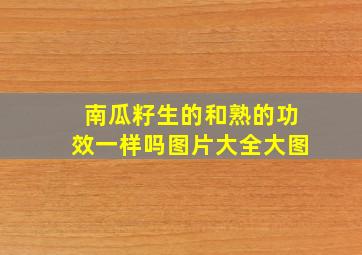 南瓜籽生的和熟的功效一样吗图片大全大图