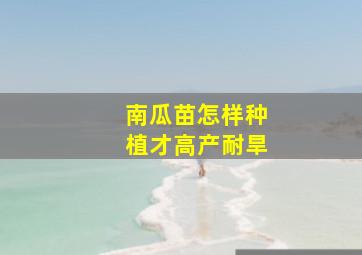 南瓜苗怎样种植才高产耐旱