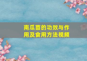 南瓜苗的功效与作用及食用方法视频