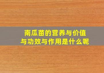 南瓜苗的营养与价值与功效与作用是什么呢