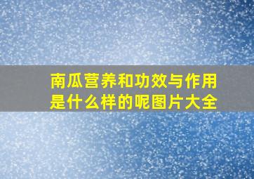 南瓜营养和功效与作用是什么样的呢图片大全