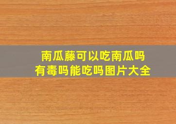 南瓜藤可以吃南瓜吗有毒吗能吃吗图片大全