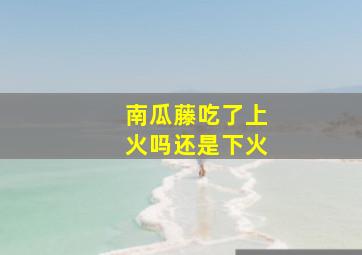 南瓜藤吃了上火吗还是下火