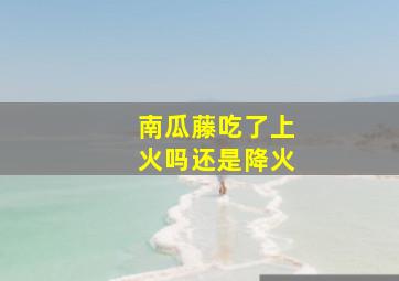 南瓜藤吃了上火吗还是降火