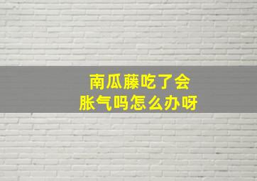 南瓜藤吃了会胀气吗怎么办呀